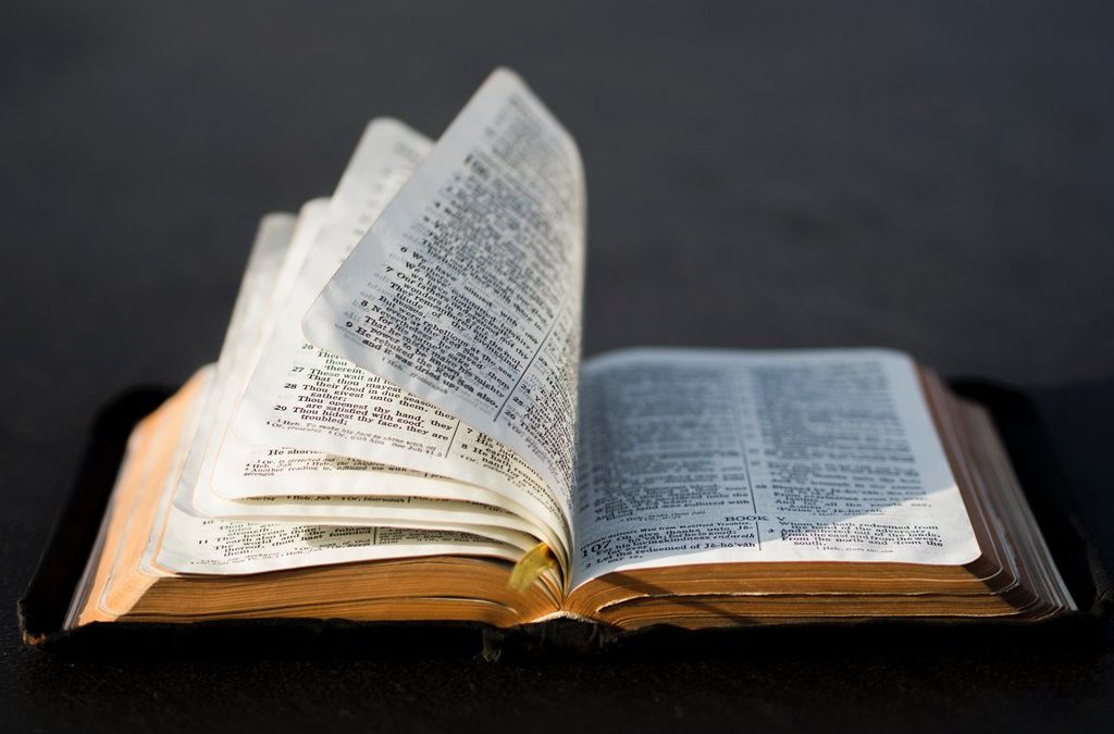 Wycliffe divulga ‘Estatísticas da Tradução da Bíblia 2019’