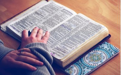 Os pastores hodiernos e a leitura das escrituras